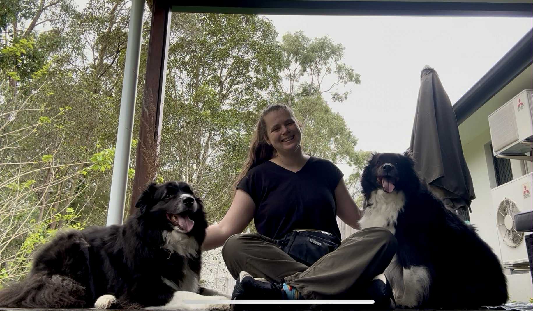 Dog behavior training