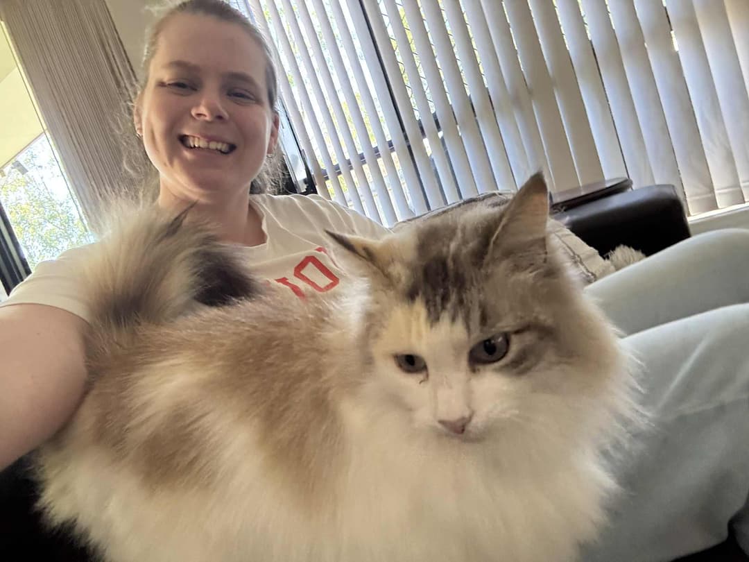 Happy cat training