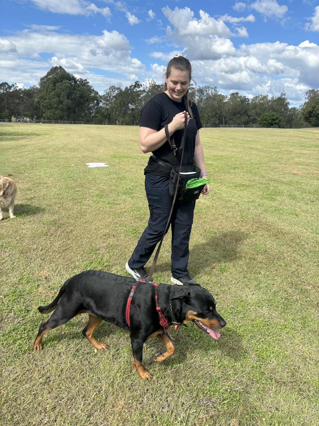Happy dog training